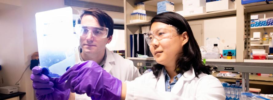 Researchers looking at reflective object